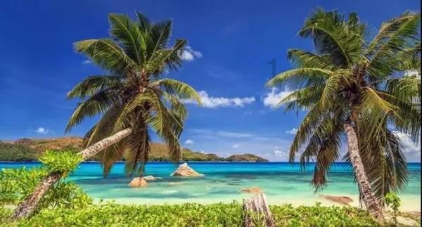 一顿浪漫晚餐