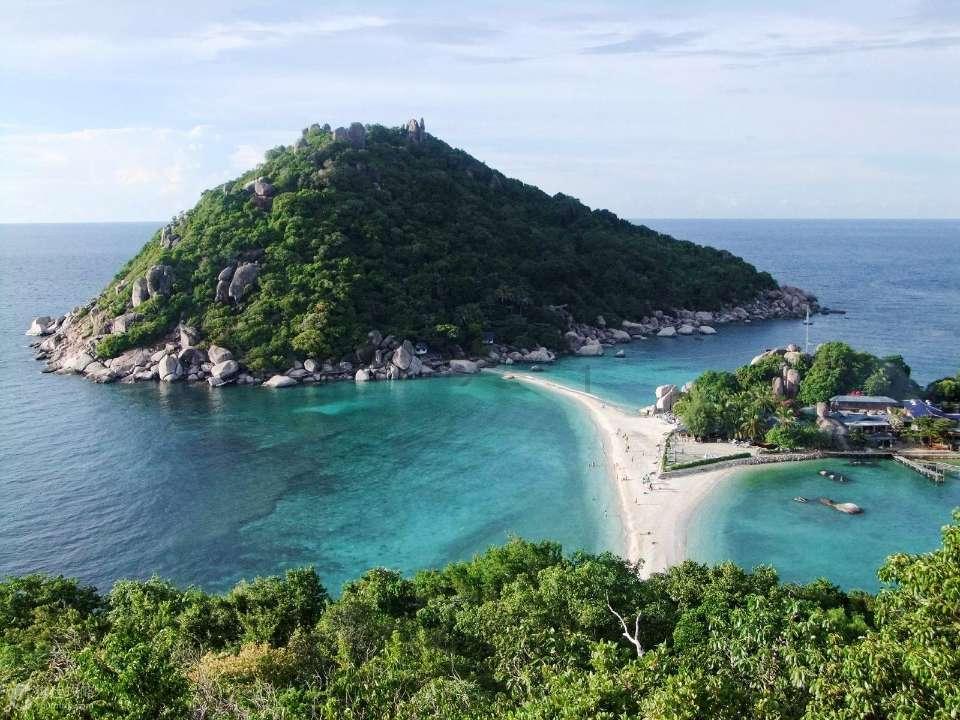 花语月